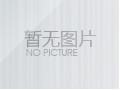公司动态